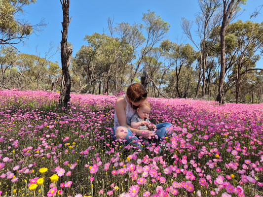 Bee Pollen Smoothie Recipe for Busy Mums with Young Kids