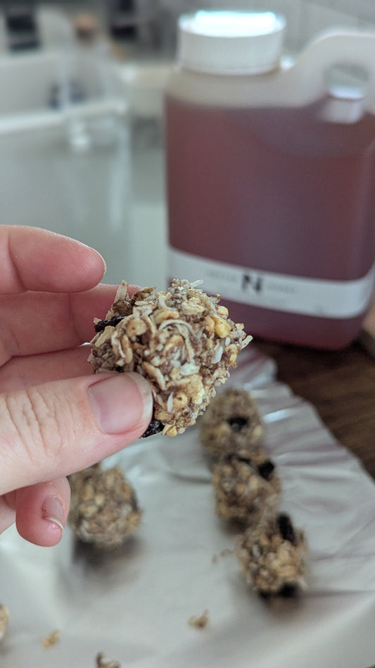 Honeyed Protein Balls - Low Fruit